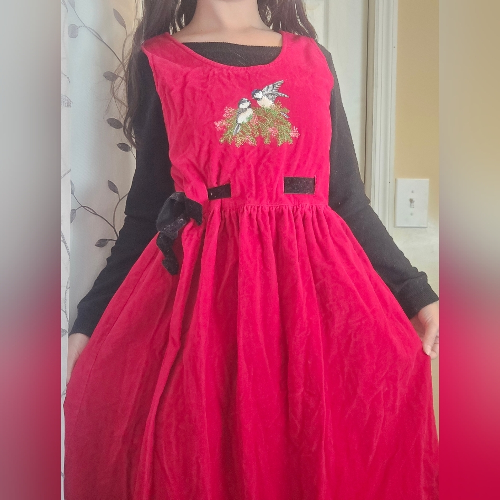 Vintage Vintage National Wildlife Federation NWF Red Embroidered Dress Small